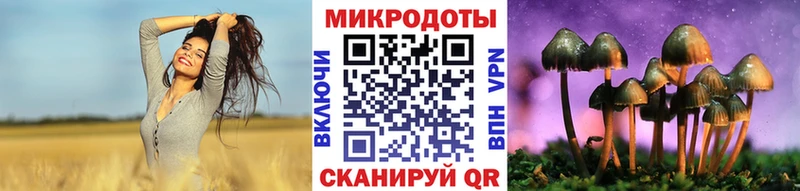 где можно купить наркотик  Звенигород  Галлюциногенные грибы мицелий 