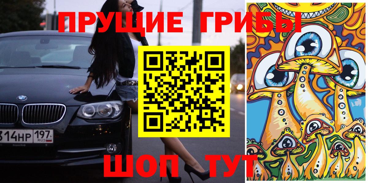Звенигород  Галлюциногенные грибы GOLDEN TEACHER  Вход с VPN  Галлюциногенные грибы мухоморы 