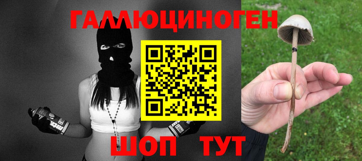 Галлюциногенные грибы мухоморы Звенигород