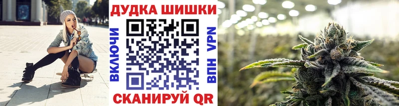 Бошки Шишки планчик  Звенигород 